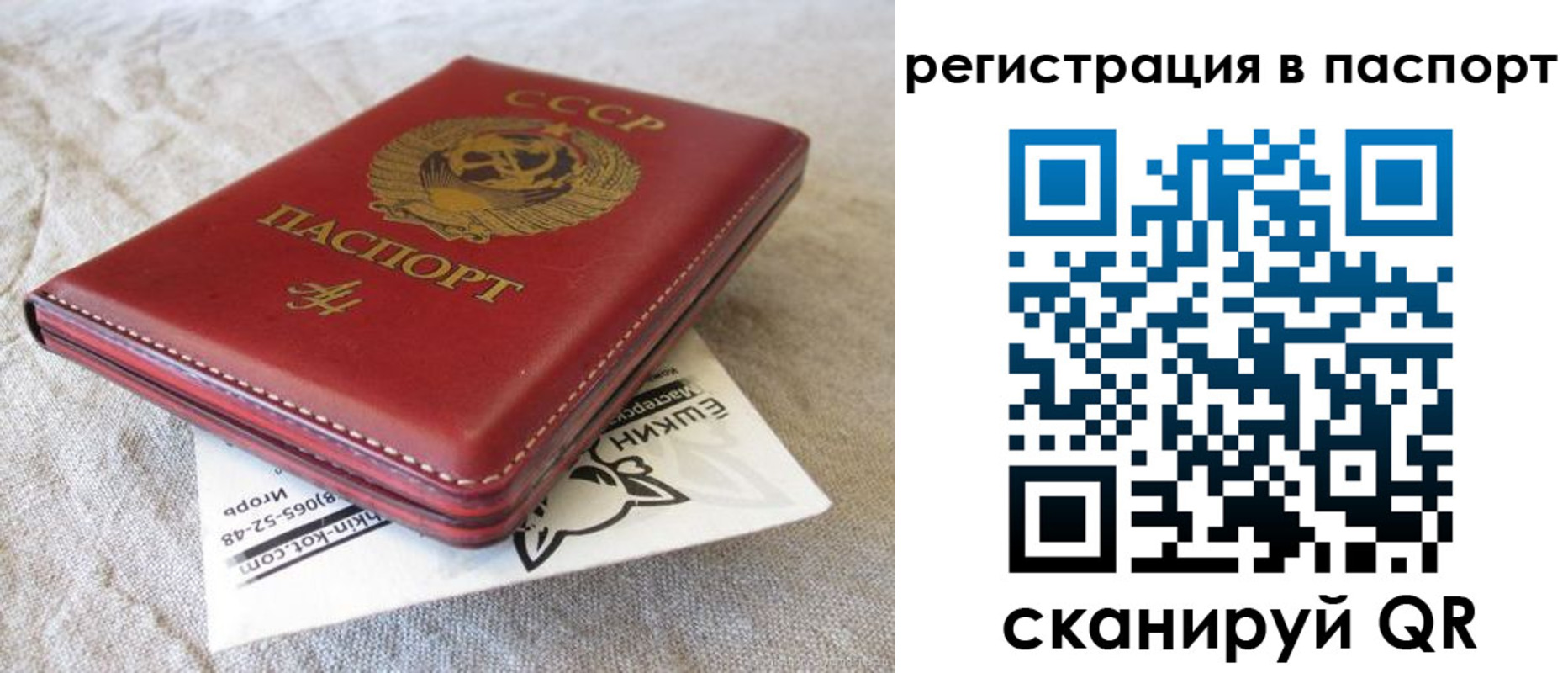 где прописаться в Белгородской области